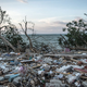Foto: Getty